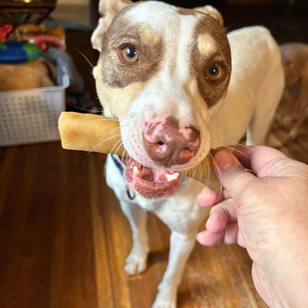 <h3><strong>Happy Dogs. Happy Owners.</strong></h3>