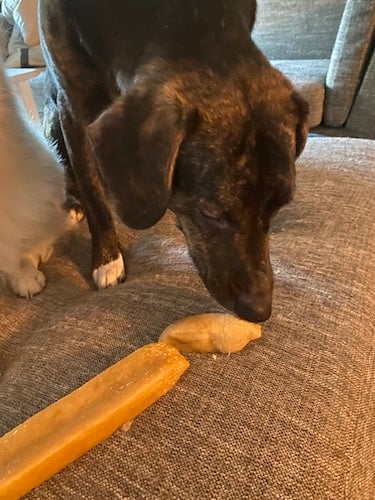 <h3><strong>Happy Dogs. Happy Owners.</strong></h3>