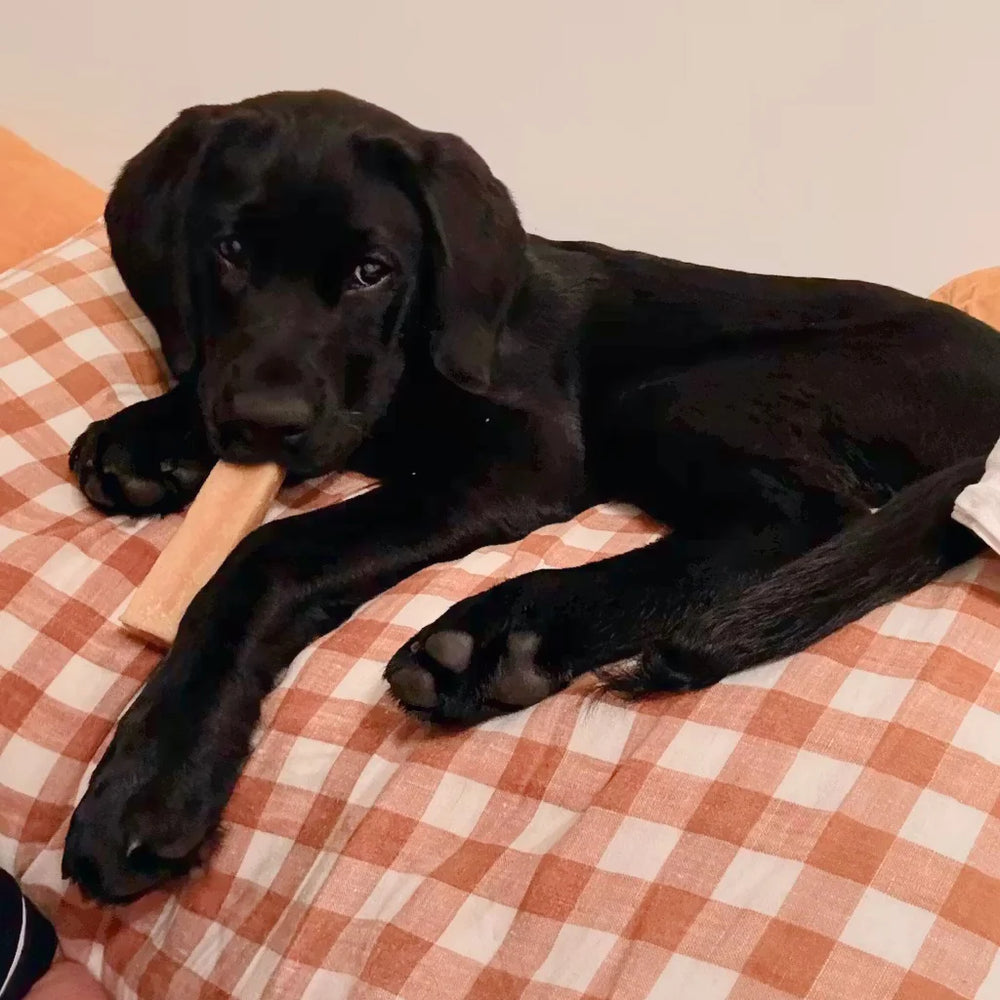 <h3><strong>Happy Dogs. Happy Owners.</strong></h3>