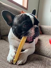 <h3><strong>Happy Dogs. Happy Owners.</strong></h3>